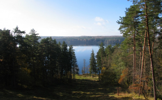 12_Regykla Vaizdas į Romintos girią 1 (2).jpg